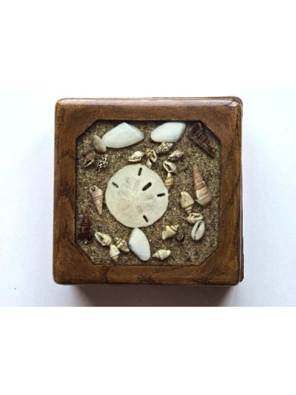 Vintage Wood Trinket Box Lucite Acrylic Lid, Seashell Sand Dollar 4.75in Square - Picture 1 of 4